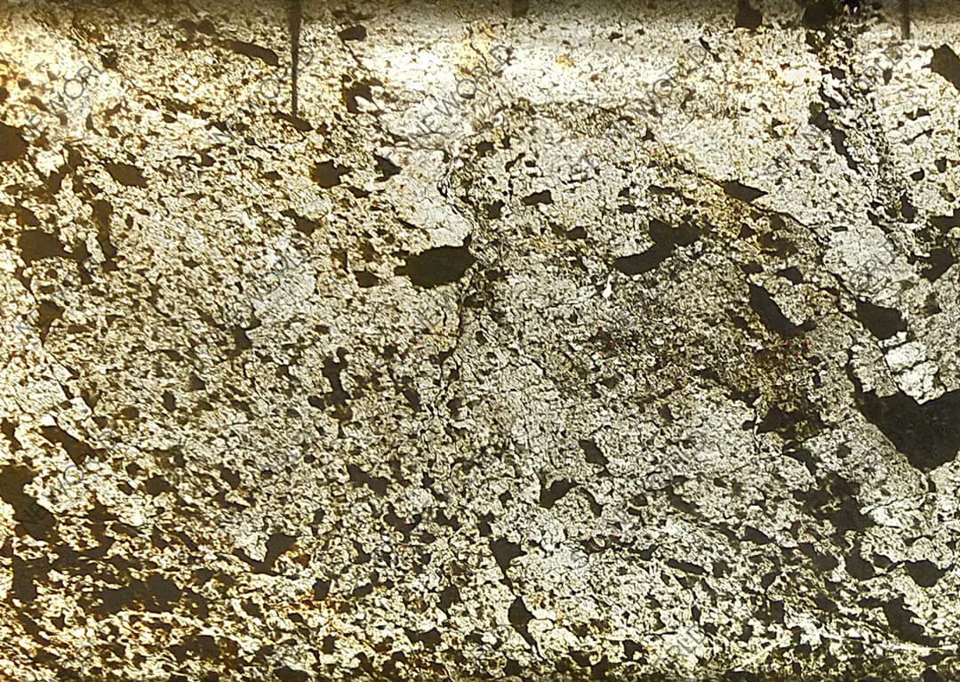 Stone Veneers — Stone World Collection