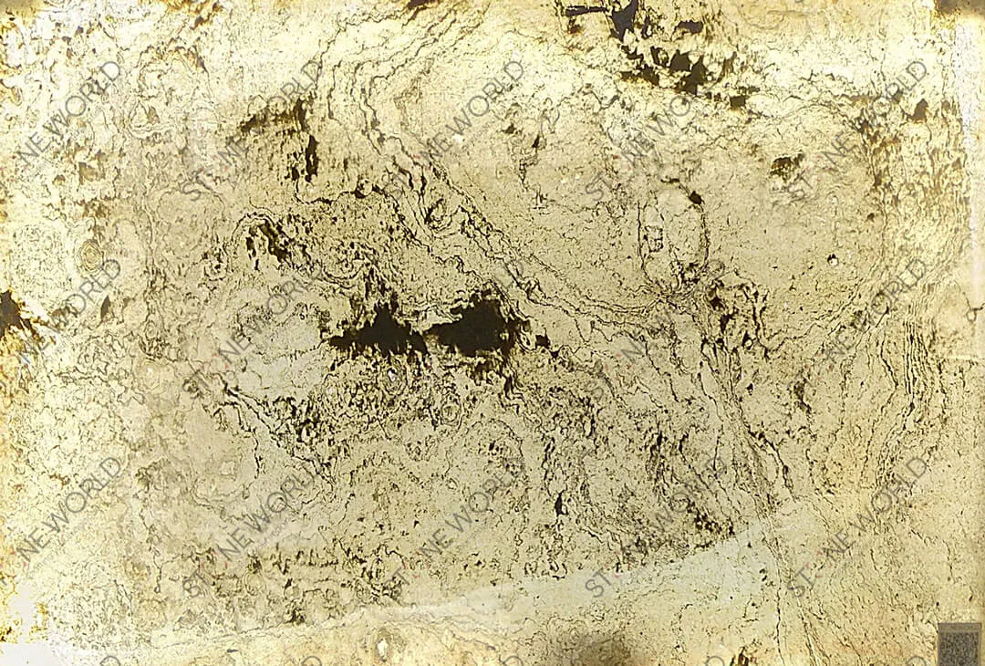 Stone Veneers — Stone World