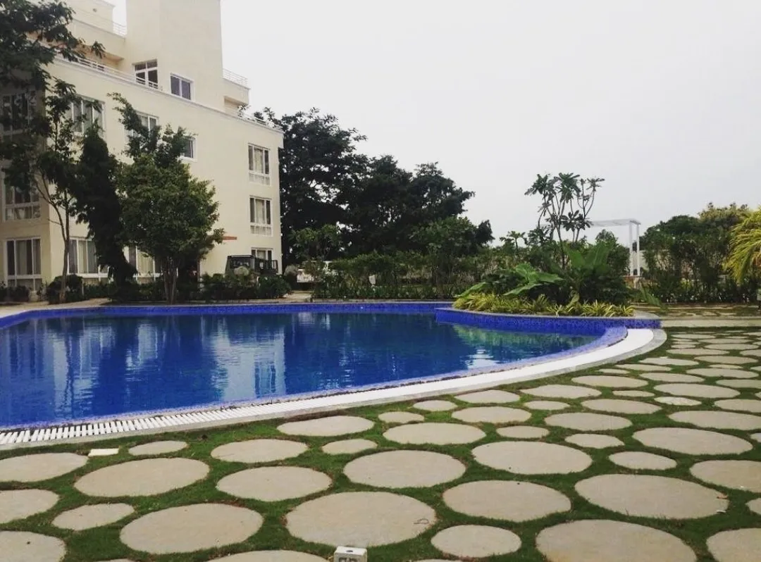 Best Natural Stone Pool project by Stone World